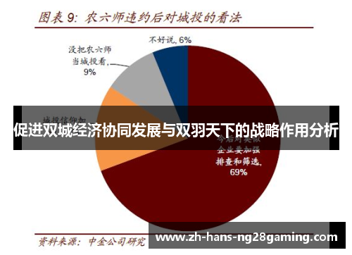 促进双城经济协同发展与双羽天下的战略作用分析