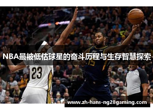 NBA最被低估球星的奋斗历程与生存智慧探索
