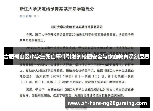 合肥蜀山区小学生死亡事件引发的校园安全与家庭教育深刻反思