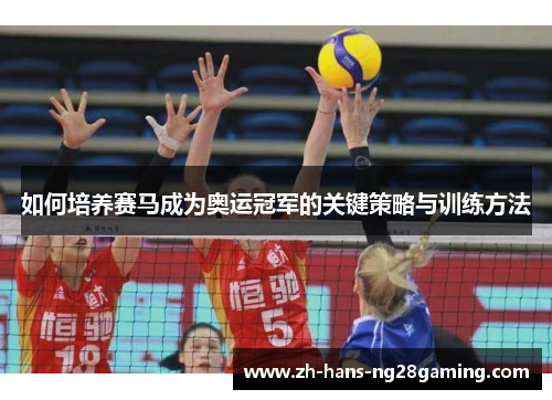如何培养赛马成为奥运冠军的关键策略与训练方法