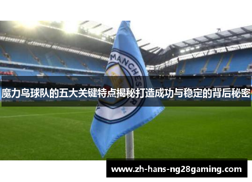 魔力鸟球队的五大关键特点揭秘打造成功与稳定的背后秘密