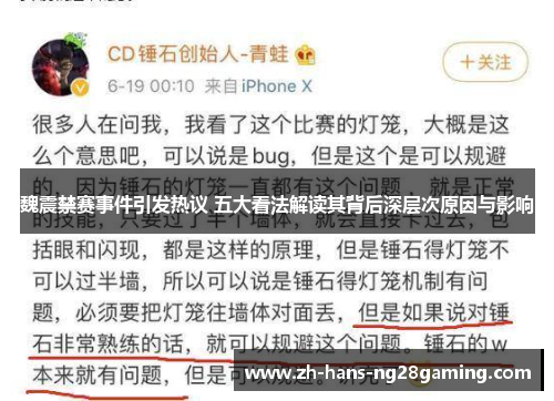 魏震禁赛事件引发热议 五大看法解读其背后深层次原因与影响