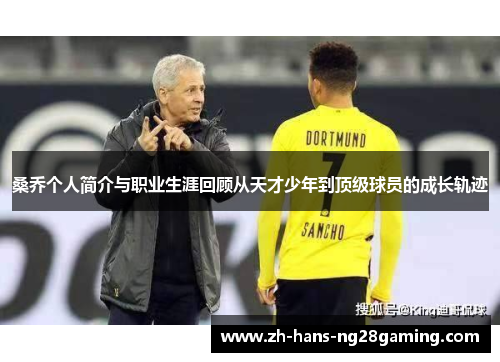 桑乔个人简介与职业生涯回顾从天才少年到顶级球员的成长轨迹 桑乔个人简介与职业生涯回顾从天才少年到顶级球员的成长轨迹